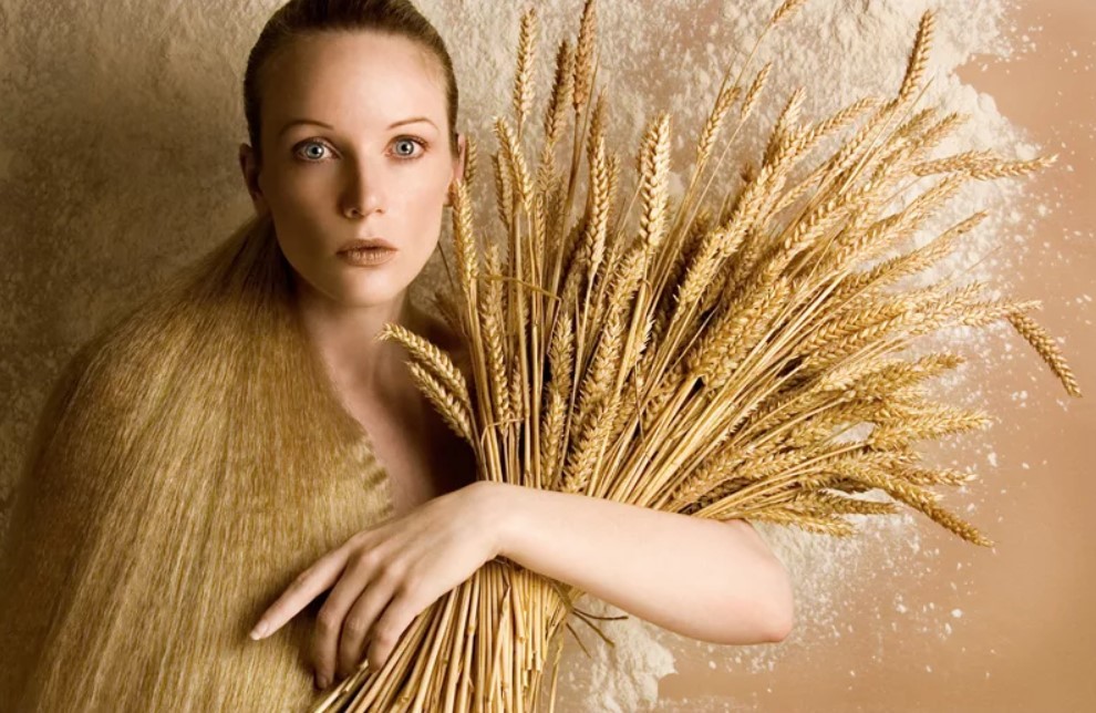 Как правильно прорастить пшеницу для еды в домашних условиях пошагово фото